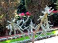Хайфа. Танец кактусов в бахайском парке