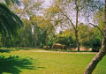 Сафари. Слоны